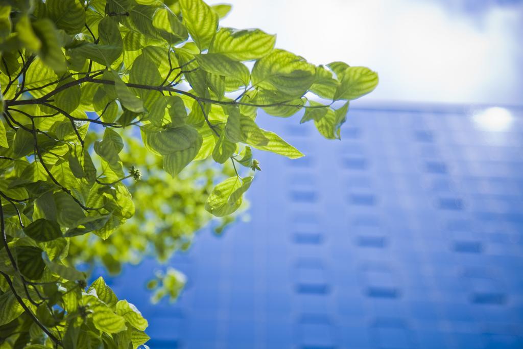 Tokyo Green Palace Exterior foto